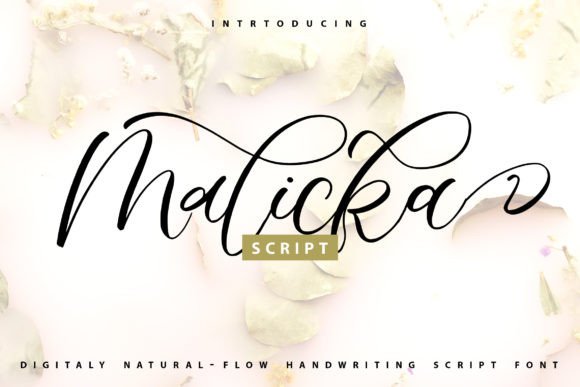Malicka: A Script Font That Elevates Your Editorial Design