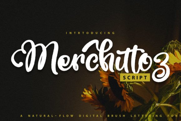 Merchittoz Script Font for Handmade Creations