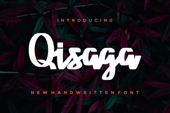 Qisaga: The Font That Elevates Your Campaigns