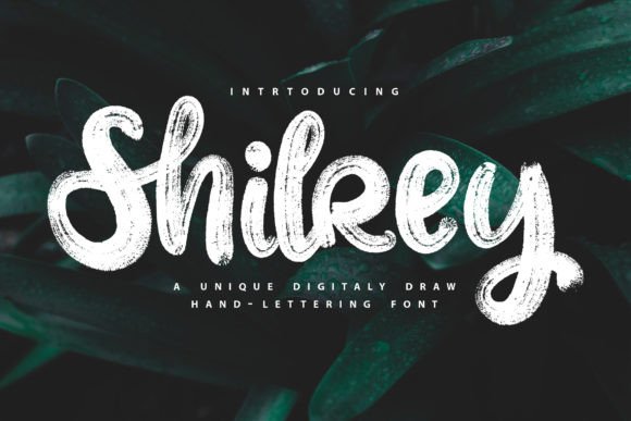 Shilrey: A Modern Handwritten Font for Campaign Creativity